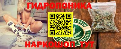 прущие грибы Ангарск