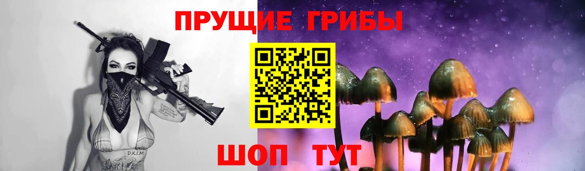 Галлюциногенные грибы Psilocybine cubensis Воткинск